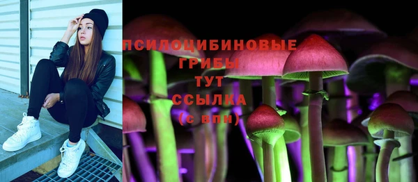 индика Покровск
