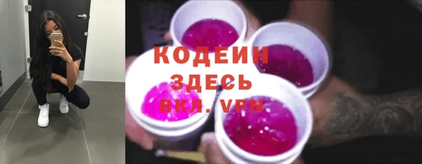 ГАЛЛЮЦИНОГЕННЫЕ ГРИБЫ Алзамай