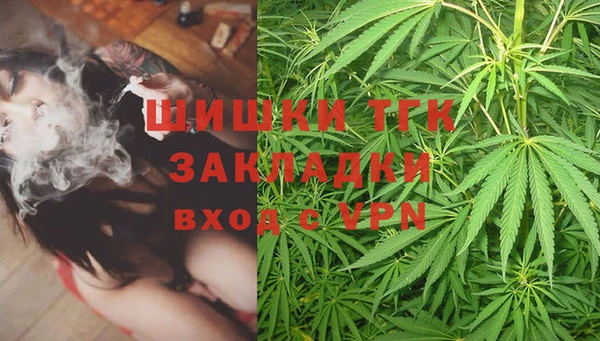 ГАЛЛЮЦИНОГЕННЫЕ ГРИБЫ Алзамай