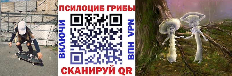 ОМГ ОМГ как зайти  Долинск  Галлюциногенные грибы прущие грибы 