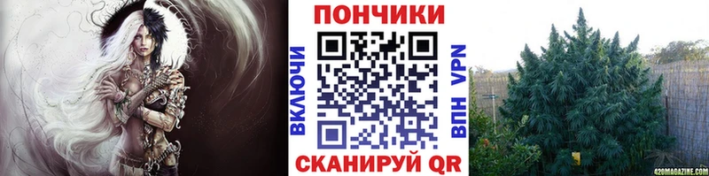 Бошки Шишки ГИДРОПОН  купить закладку  Долинск 